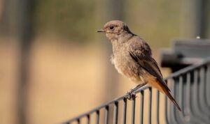 実務に近いチームでの開発学習の効果的な方法は？